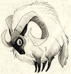 an ink drawing of a ram with long horns and large, curved horns on its head