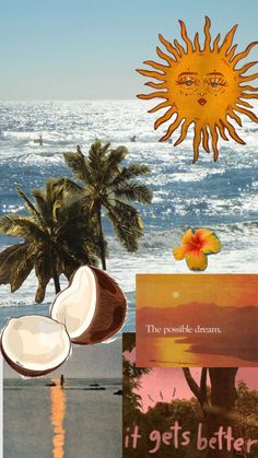 the sun is shining over the ocean with coconuts and other things in front of it