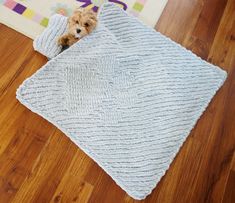 a small dog is peeking out from behind a blanket on the floor in front of a rug