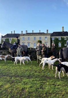 a group of people standing on top of a lush green field next to horses and dogs