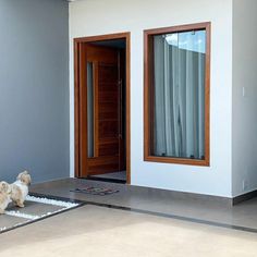 a small dog is standing in front of a door and looking at the room outside