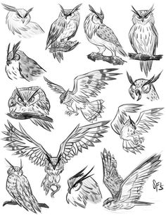 an image of birds flying in the air sketched on white paper stock photo - budget