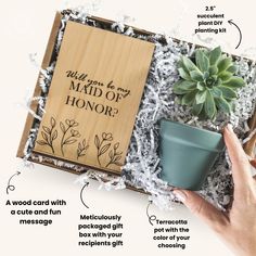 an open box containing a plant, cup and card board with instructions on how to use it