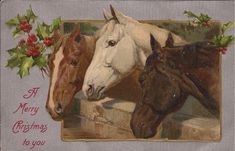 two horses are standing next to each other with holly on the top and one horse is looking at the camera