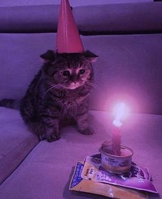 a cat sitting on a couch with a birthday hat on it's head next to a lit candle