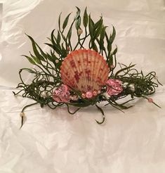 Mermaid Shell Crown Sea Shell Crowns, Seaweed Crown, Mermaid Diy Crafts, Mermaid Costume Makeup, Shell Tiara, Under The Sea Costumes, Shell Crown, Sea Costume, Mermaid Crowns