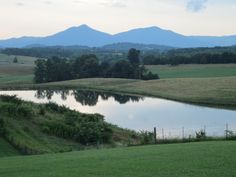 a pond in the middle of a field with mountains in the background