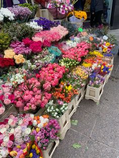 a bunch of flowers that are on display