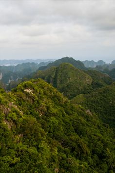 Image of lush green mountains in the Tam Dao National Park, Vietnam The Park, National Park, Temple, National Parks, Places To Visit