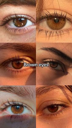 Hazel Eye Color, Pretty Eyes Color, Hazel Brown Eyes, Light Brown Eyes, Honey Eyes, Brown Eyes Aesthetic, Eye Color Chart, Pretty Brown Eyes, Beautiful Eyes Color