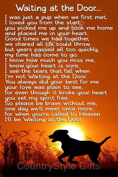 a dog is silhouetted against an orange sky with the words waiting at the door