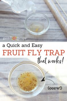 an image of fruit fly trap that works