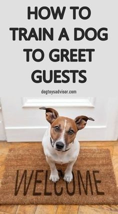 train your dog to greet guests Train A Dog, Whatsapp Tricks, Cartoon Disney, Puppy Training Tips, Teachers Pet