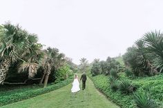 a bride and groom walking down a path in the middle of lush green grass surrounded by palm trees