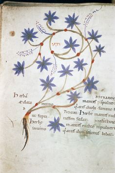 an old book with blue flowers and writing on the page is shown in red ink