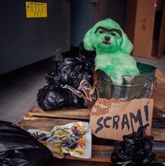 a green dog sitting in a trash can with a sign that says scram on it