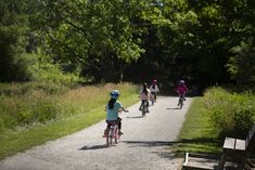 several children are riding bikes down a path in the woods on a sunny day with green grass and trees