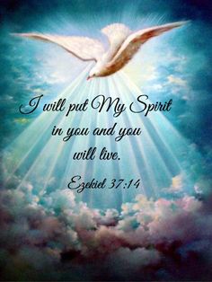 a white dove flying in the sky with an open bible verse below it that reads, i will put my spirit in you and you all live