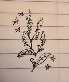 a drawing of a plant with stars on it