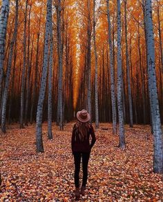 a woman standing in the middle of a forest with leaves on the ground and trees all around her