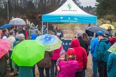 a group of people standing under umbrellas on a dirt road with trees in the background