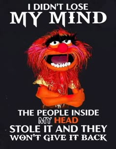 the muppet from sesame's movie, i didn't lose my mind