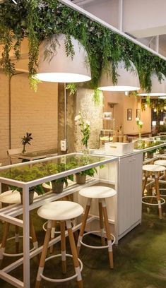 an indoor restaurant with plants growing on the walls and tables in front of it,