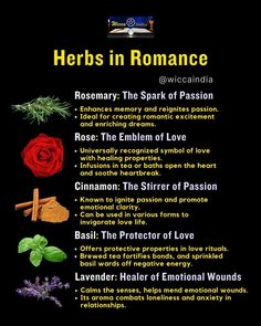 Reversal Spell Herbs, Herbs For Love Spells, Herbs For Love, Witchy Herbs, Love Herbs, Money Candle Spell, Magic Tools