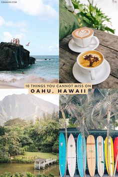 the collage shows different types of surfboards, coffee and people in the water