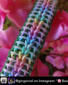 a close up of a colorful braided object with pink flowers in the back ground