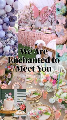 we are enchanted to meet you at the party with balloons, flowers and cake