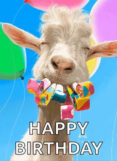 a happy birthday card with an image of a goat holding candy in its mouth and balloons behind it