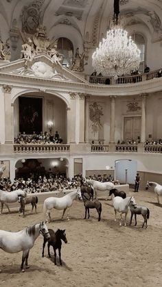 several horses are standing in the middle of a large room