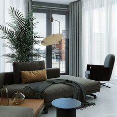 a living room filled with furniture and a large plant next to a glass table on top of a hard wood floor