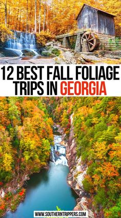 fall foliage and waterfall with text overlay reading 12 best fall foliage trips in georgia