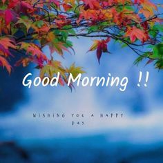 the words good morning are written in front of colorful leaves