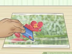 a person holding a credit card in front of red flowers on a window sill