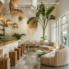 a living room filled with lots of furniture and plants on the wall next to large windows