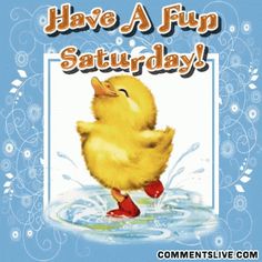 a yellow rubber ducky is in the water and says, i have a fun saturday