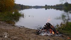 there is a fire in the middle of the ground by the water and trees around it