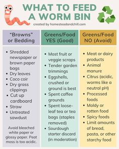 what to feed a worm in a worm - eating food info sheet for kids and adults