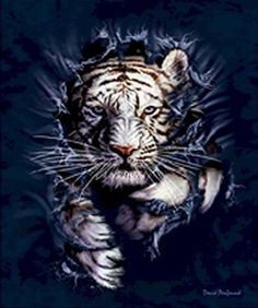 a white tiger with blue eyes and claws on it's face, peeking out from behind torn fabric