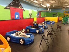 there are many dogs that are sitting in small cars at the playroom with other children's toys