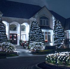 a large house with christmas lights on the trees and bushes in front of it at night