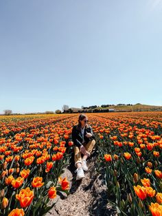 Girl sitting in a tulip field - one of the BEST things to do in Amsterdam in the Spring Things To Do In Amsterdam