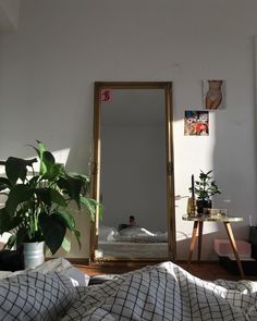 a bedroom with a large mirror and plants in the corner on the floor next to it