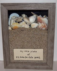 there is a frame with shells in it