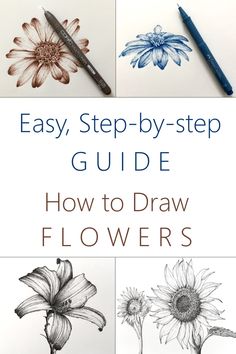 the easy step by step guide to draw flowers