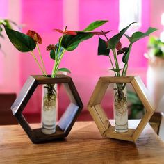 two vases with plants in them sitting on a wooden table next to each other