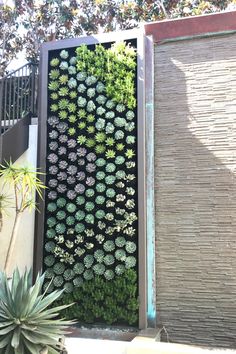 an outdoor wall with plants growing on it